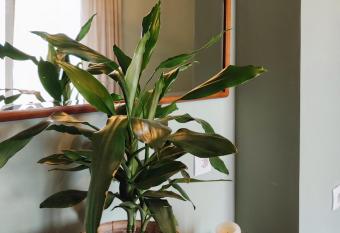 NORDIC                                                                                             has Balcony rooms