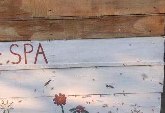 Bee house allows 18 year olds to book a room