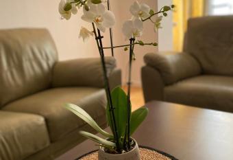 MV Central Apartment & Garage - Self Check-in has Balcony rooms