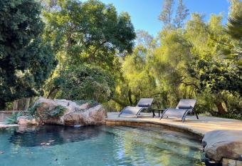 Turtle has Balcony rooms