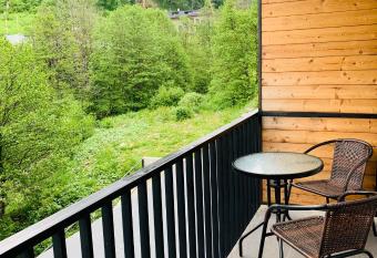 Comfortable Apartment near Didveli has Balcony rooms