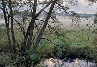 Sch  ne Wohnung direkt am Bach has Balcony rooms