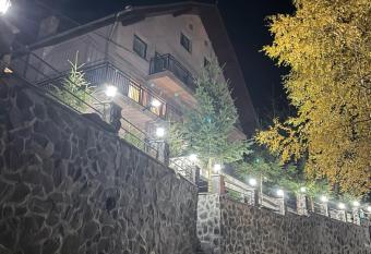 Pensiunea Joe Paltinis has Balcony rooms