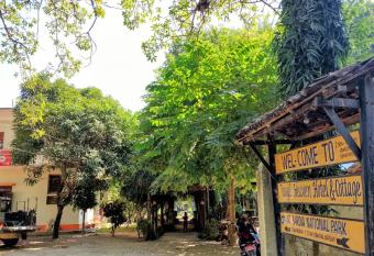 Jungle Heaven Hotel and Cottage has Balcony rooms