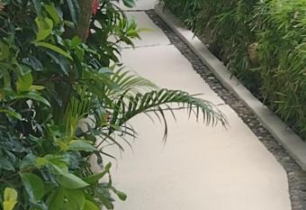 Casa de descanso chachalacas has Balcony rooms