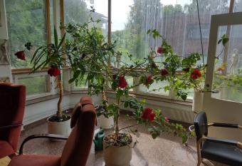 Mets  l  n P  iv  l   Leipurintie 9 B has Balcony rooms