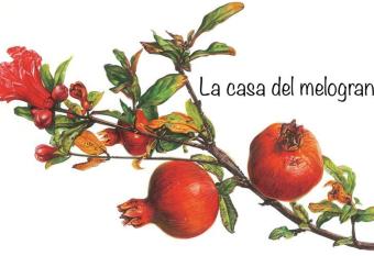 La casa del melograno has Balcony rooms