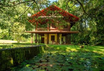 Casa Ranas - Beautiful house in Osa, 32-acres, wildlife photography has Balcony rooms