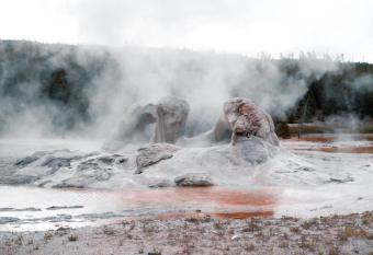 The Bucking Moose allows 18 year olds to book a room