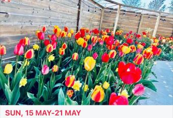 Renaissance Suite ; room ; space share ; Toronto has Balcony rooms