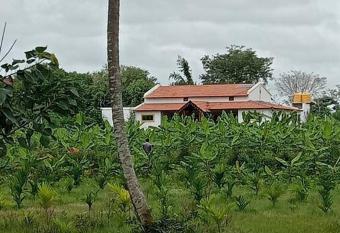 Maaya Thotada Hatti has Balcony rooms