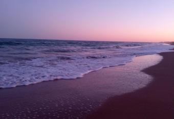 Pulau Playa has Balcony rooms