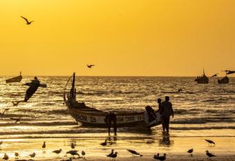 Appartement VIP au c  ur de Saly_ Restaurant sp  cialit  s locales! has Balcony rooms