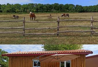 sasu eco nature has Balcony rooms