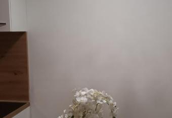 Elena allows 18 year olds to book a room