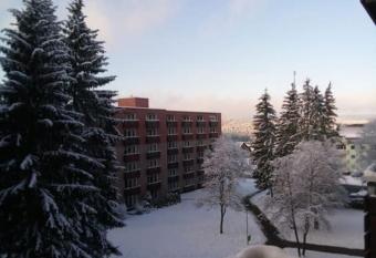 FeWo Eisblume. Erholung im wundersch  nem Harz! has Balcony rooms