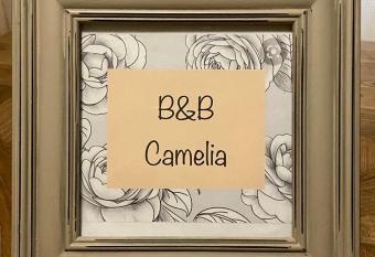 B&B Camelia allows 18 year olds to book a room