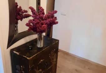 Sch  ne Wohnung in der Grazer Innenstadt has Balcony rooms