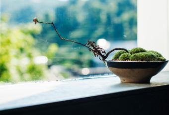 Hangzhou Spring B&B has Balcony rooms