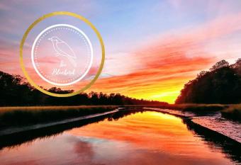 The Bluebird Apartment - Waterfront on 10 acres of land has Balcony rooms