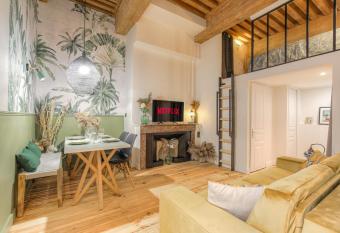 Appartement de caract  re en hypercentre allows 18 year olds to book a room