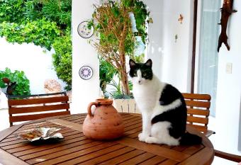 Loft con ba  o privado y entrada independiente allows 18 year olds to book a room