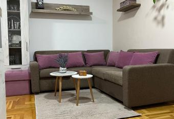 Apartman Simic M has Smoking rooms