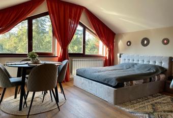 Rustic Mountain Apartment - A55 allows 18 year olds to book a room