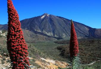 Casa Ivonne - San Isidro has Balcony rooms