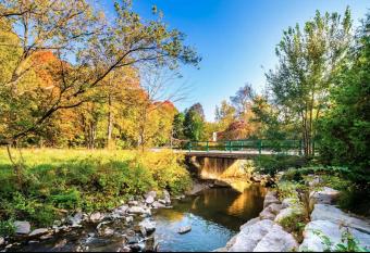 Boho Home - Gold Room - 10 Minutes to Downtown allows 18 year olds to book a room