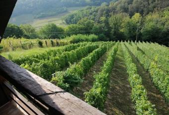 RURAL PARTY HOUSE - PARTY KU  A ZA PROSLAVE has Balcony rooms