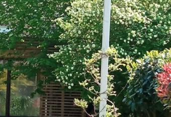 Loft, parking priv  , terrasse, entr  e ind  pendante has Balcony rooms