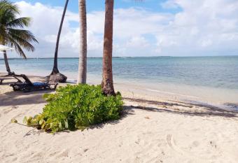 Beachfront Luxury Resort Condo Hyatt and PGA Golf has Balcony rooms