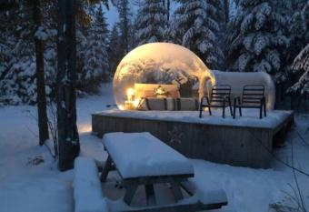 Tente bulle intime sous les   toiles allows 18 year olds to book a room