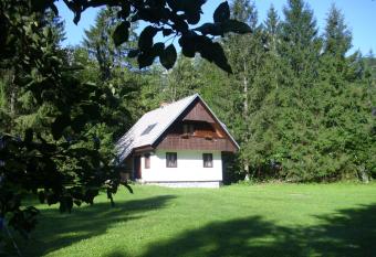 Apartment Lake Bohinj no. 5 has Balcony rooms