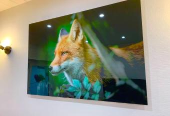 Le Terrier du Katz has Balcony rooms