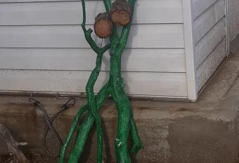 Tent allows 18 year olds to book a room