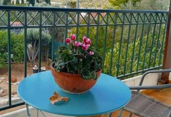 Marco Polo s Mooring Cozy Navy House allows 18 year olds to book a room