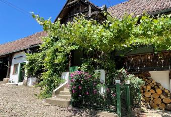 Entire House @Saschiz 130 has Balcony rooms