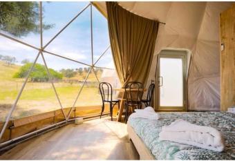 Caravans Park & GLAMPING TENTS in the Vineyard has Balcony rooms