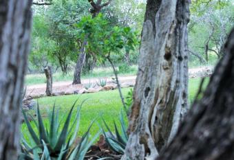 Chama Game Lodge allows 18 year olds to book a room