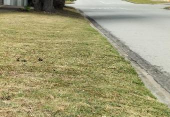 15 on 11th Summerstrand has rooms with a private hot tub