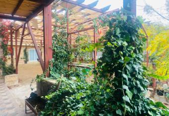 Green house has Balcony rooms