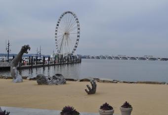 Parhat Yasin   s Property allows 18 year olds to book a room