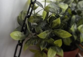 Escape Love du Chanoir allows 18 year olds to book a room