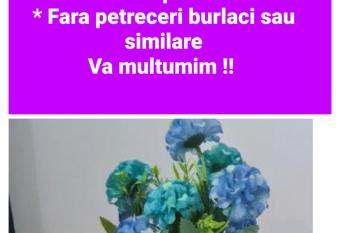 Casa Sebastian allows 18 year olds to book a room