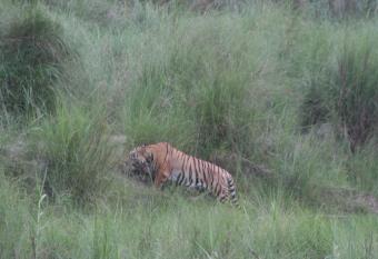 Good Karma Homestay has Balcony rooms