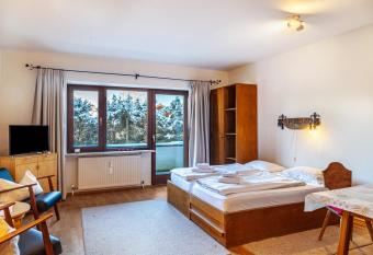 Haus Excelsior Top 3 has Balcony rooms