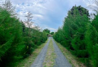 North Pine Forest Homestay                                                     has Balcony rooms