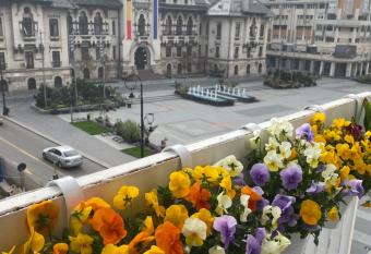 Sweet cozy Ultracentral has Balcony rooms